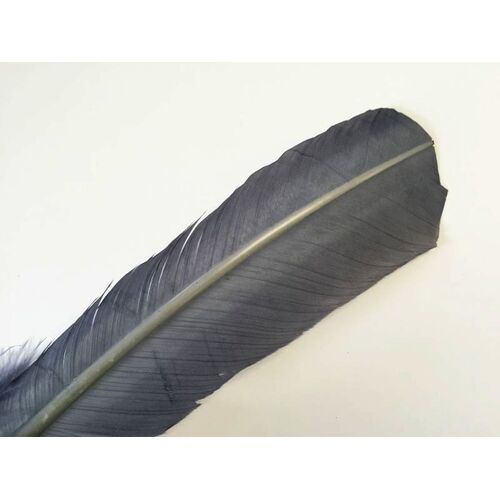 Wing Feather - Steel Grey