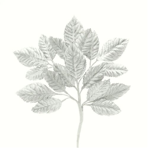 Velvet Leaf Stem - Grey Light