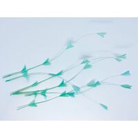 SPECIAL/Coque/Arrow Cut - Qty 6 [Colour: Aqua]