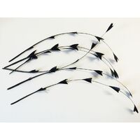 SPECIAL/Coque/Arrow Cut - Qty 6 [Colour: Black]
