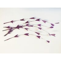 SPECIAL/Coque/Arrow Cut - Qty 6 [Colour: Magenta]