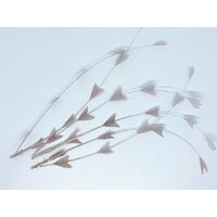 SPECIAL/Coque/Arrow Cut - Qty 6 [Colour: Nude]