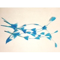 SPECIAL/Coque/Arrow Cut - Qty 6 [Colour: Turquoise]