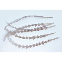 SPECIAL/Coque/Diamond Cut - Qty 6 [Colour: Nude]