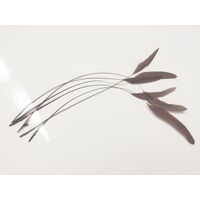 SPECIAL/Coque/Stripped - Qty 6 [Colour: Brown]