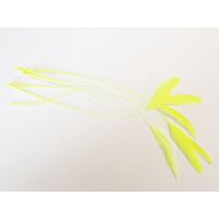 SPECIAL/Coque/Stripped - Qty 6 [Colour: Neon Yellow]