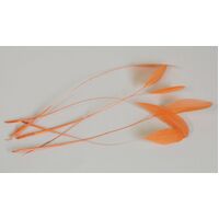 SPECIAL/Coque/Stripped - Qty 6 [Colour: Orange]