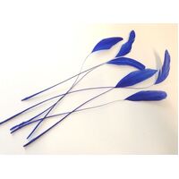 SPECIAL/Coque/Stripped - Qty 6 [Colour: Royal]