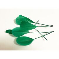 Nagoire/Stripped - Qty 6 [Colour: Emerald]