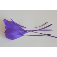 Nagoire/Stripped - Qty 6 [Colour: Purple]