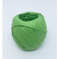 Raffia/Paper/20m [Colour: Lime]