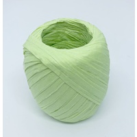 Raffia/Paper/20m [Colour: Mint]