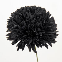 Flower/Marigold [Colour: Black]