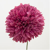 Flower/Marigold [Colour: Dark Pink]