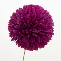 Flower/Marigold [Colour: Magenta]