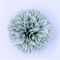 Flower/Marigold [Colour: Ice Blue]