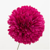 Flower/Marigold [Colour: Fuchsia]