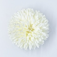 Flower/Marigold [Colour: Ivory]