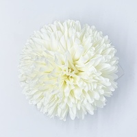 Flower/Marigold [Colour: Ivory]