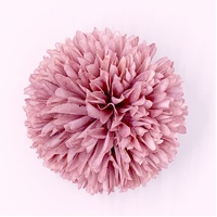 Flower/Marigold [Colour: Pink]