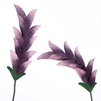 Costa Flower Stem [Colour: Purple]