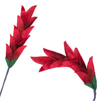 Costa Flower Stem [Colour: Red]
