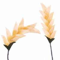 SPECIAL/Costa Flower Stem [Colour: Yellow]