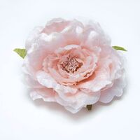 Velvet Rose - Style 1 [Colour: Pink Blush]