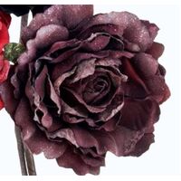 SPECIAL/Velvet Rose - Style 2 [Colour: Port]