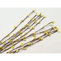 SPECIAL/Stamen 7 [Colour: Yellow]