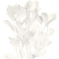 Feather Tree/Style 4 [Colour: Off White]
