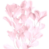 Feather Tree/Style 4 [Colour: Pink]