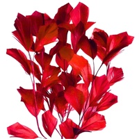 Feather Tree/Style 4 [Colour: Red]