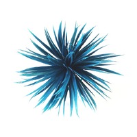 Flower/Dahlia [Colour: Teal]