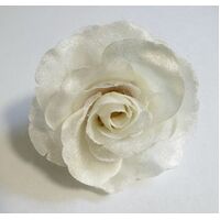 SPECIAL/Rose [Colour: Off White]