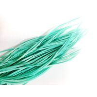 Biots/Qty 50 [Colour: Aqua]