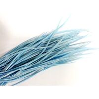Biots/Qty 50 [Colour: Blue]