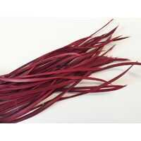 Biots/Qty 50 [Colour: Burgundy]