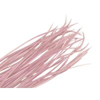 Biots/Qty 50 [Colour: Cashmere Rose]