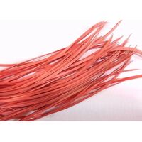 Biots/Qty 50 [Colour: Coral]