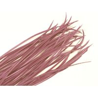Biots/Qty 50 [Colour: Dusty Pink]