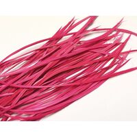 Biots/Qty 50 [Colour: Fuchsia]