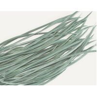 Biots/Qty 50 [Colour: Green Moss]