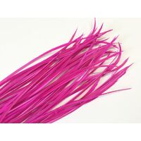 Biots/Qty 50 [Colour: Hot Pink]