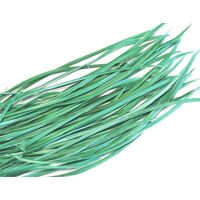 Biots/Qty 50 [Colour: Jade]