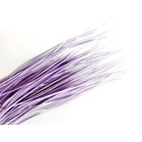 Biots/Qty 50 [Colour: Lilac]