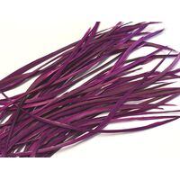 Biots/Qty 50 [Colour: Magenta]