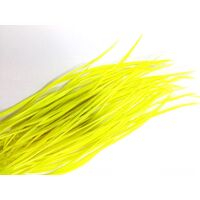 Biots/Qty 50 [Colour: Neon Yellow]