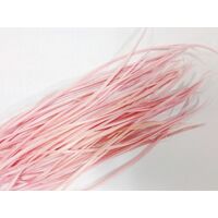 Biots/Qty 50 [Colour: Pink]