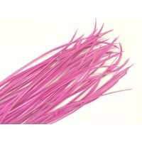 Biots/Qty 50 [Colour: Pink Candy]